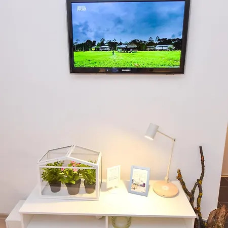 Bohemian Downtown Апартаменты *